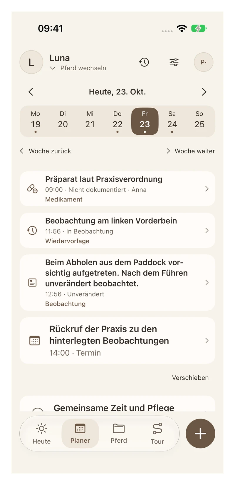Wochenplan mit Medikamentengabe, Beobachtungen und Terminen